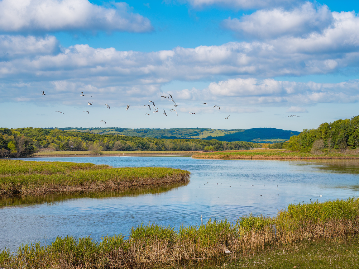 감천문화마을 여행