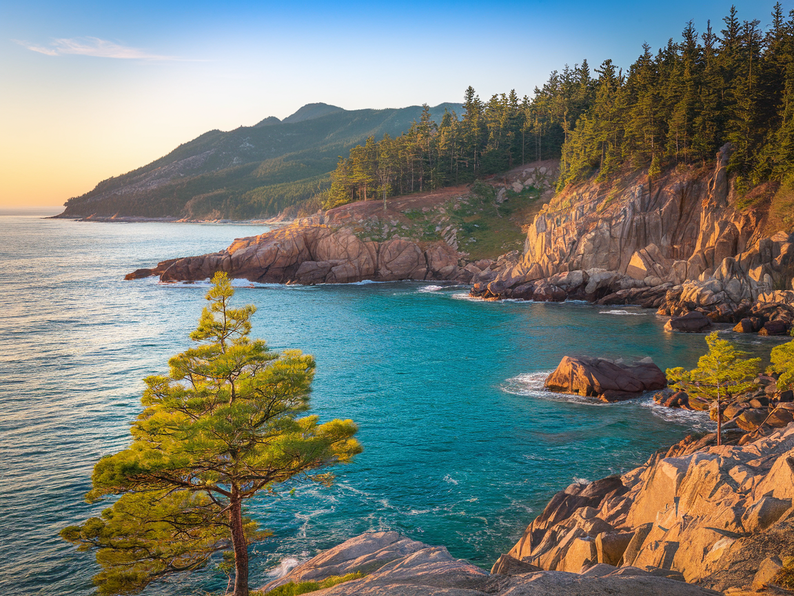 지방공항 국제선 여행