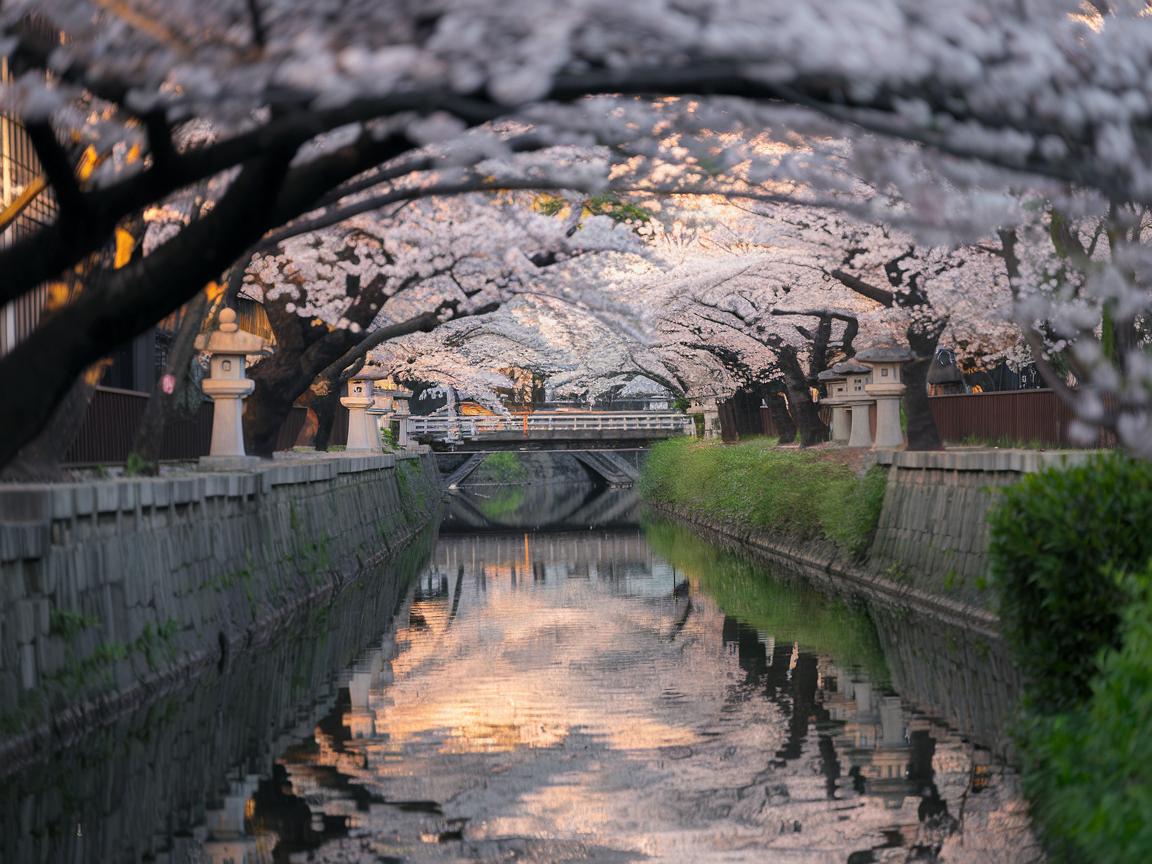 한국인 일본 여행