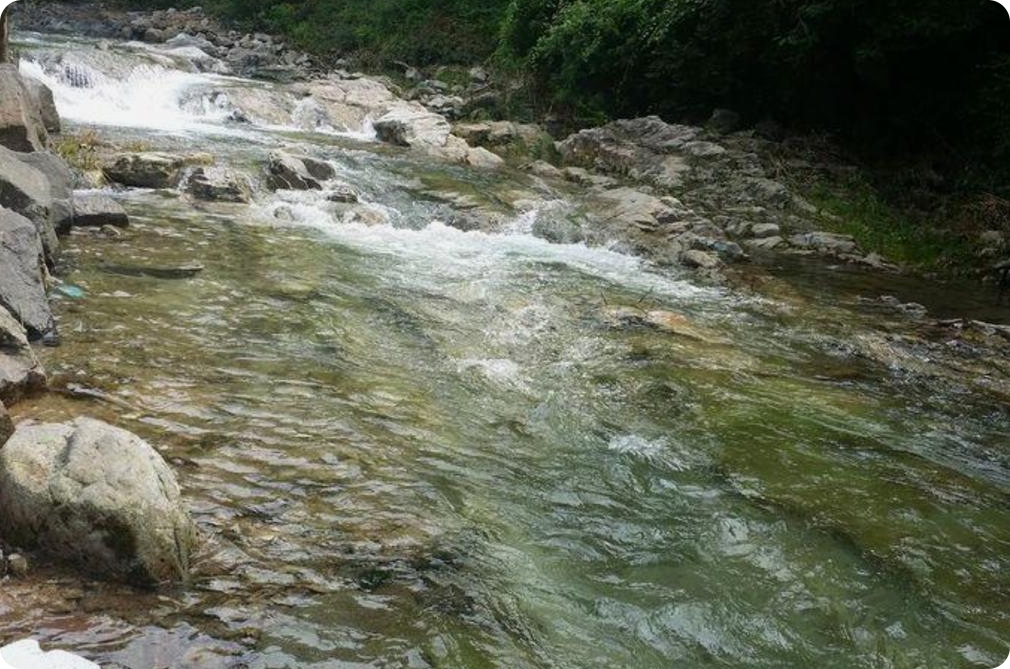 양평 1박2일 가성비 숙소 추천 양평 펜션 명문 시설