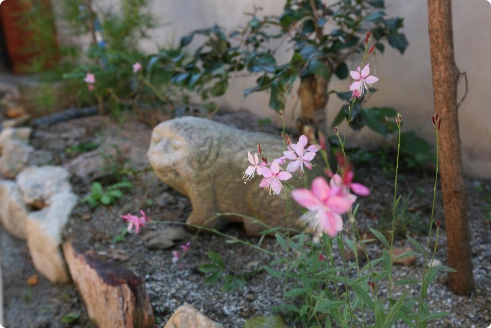 전주 가성비 호텔 추천 1박2일 개운채 한옥 게스트하우스 전주 시설