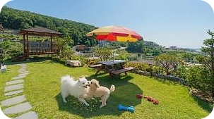 인천 커플 호텔 럭셔리 추천 - 강화 플리트비체 펜션