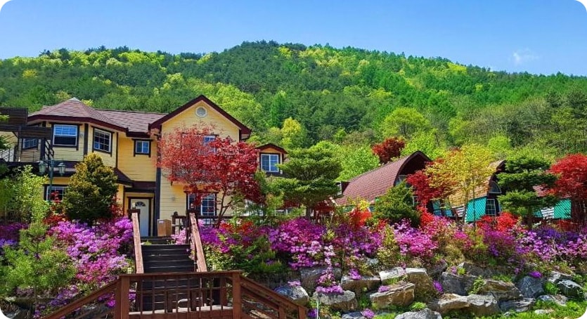 평창 가성비 펜션 추천 - 채울펜션