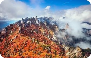 양양 커플 가성비 숙소 추천 양양 낙산의상대 펜션 객실