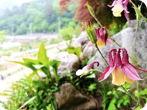 양양 혼자 여행 감성 숙소 후기 상골여행펜션 시설