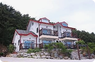 울진 가성비 바다뷰 숙소 추천 - 울진 블루아라 C,D 펜션