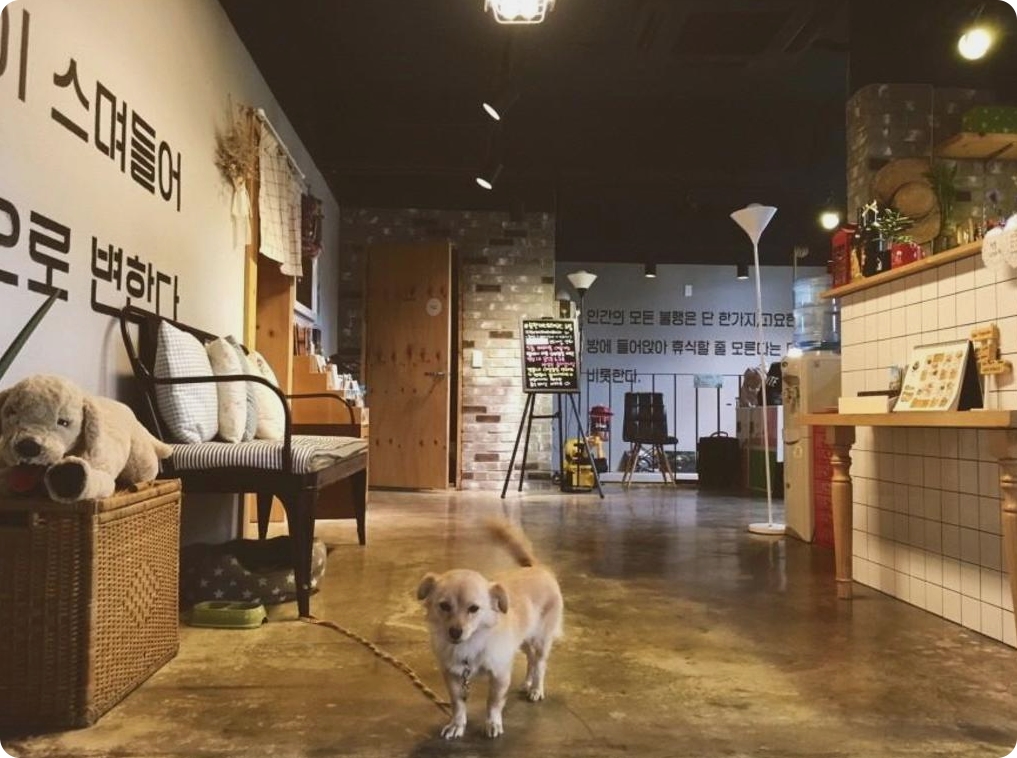 순천 주말여행 한옥 숙소 추천 순천 게스트하우스 느림 시설