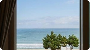 양양 가족 여행 저렴한 숙소 추천 - 양양 해뜨는창문 펫프렌드