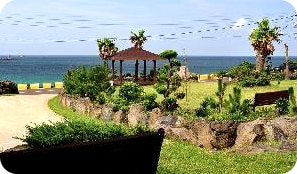 제주도 서부 가성비 감성 펜션 추천 제주 더하우스 펜션 시설