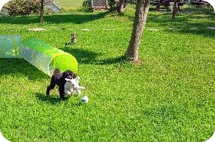 인천 커플 호텔 럭셔리 추천 - 강화 터 펜션