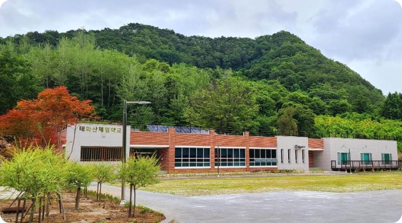 영월 가성비 커플 펜션 추천 - 태화산 마을 체험학교 펜션