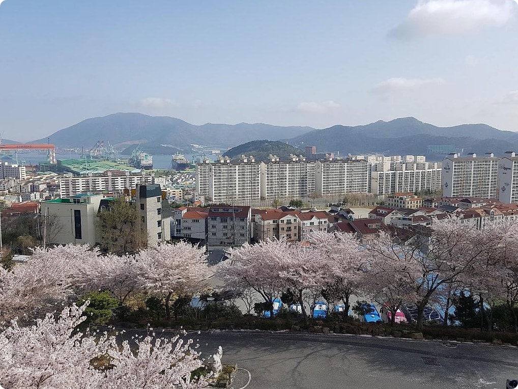 거제 아이와 풀빌라 추천 오아시스 호텔 시설