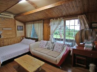 제주도 가성비 숙소 추천 이쁜새 펜션 시설