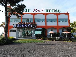 제주도 혼자 여행 감성 숙소 후기 제주 필 하우스 펜션 시설