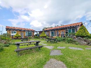 제주도 가족여행 서부 수영장 펜션 추천 - 제주 오름 펜션